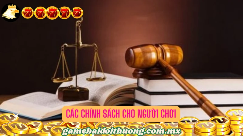 Các chính sách bảo vệ quyền lợi cho người chơi